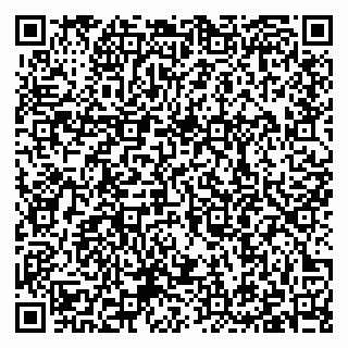 vCard 79397100221