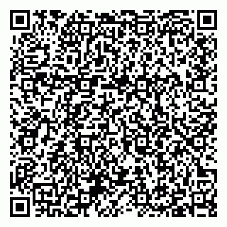 vCard 79397100273