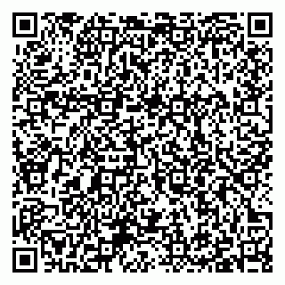 vCard 79397100285