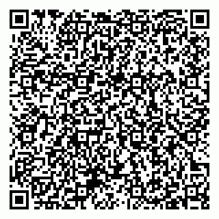 vCard 79397100290