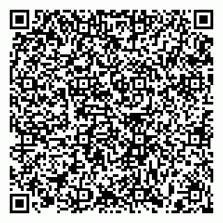 vCard 79397100291