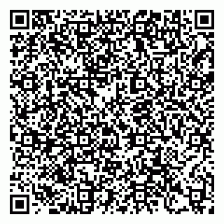 vCard 79397100293