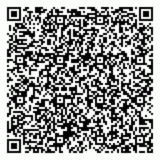 vCard 79397100294