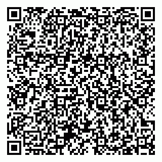 vCard 79397100295
