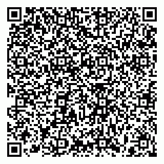 vCard 79397100298