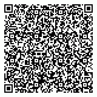vCard 79397100300