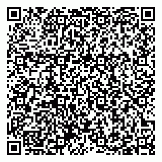 vCard 79397100301