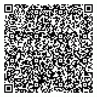 vCard 79397100303