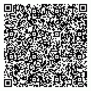 vCard 79397100311