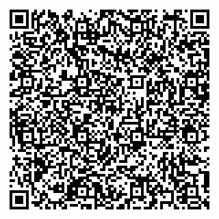 vCard 79397100317