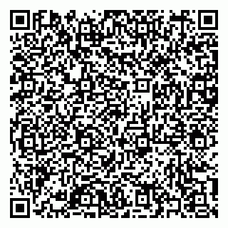 vCard 79397100321