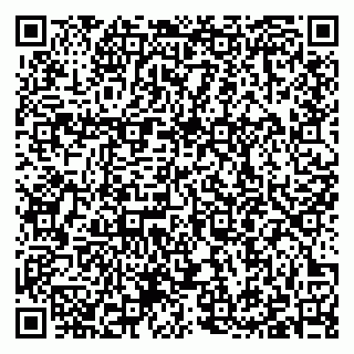 vCard 79397100329