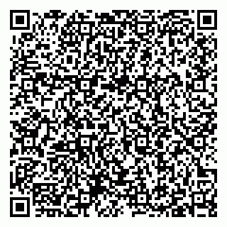 vCard 79397100331