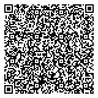 vCard 79397100332