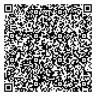vCard 79397100334