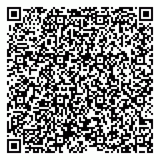 vCard 79397100335