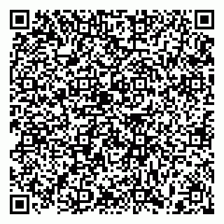 vCard 79397100354