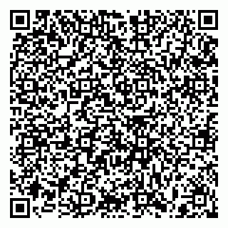 vCard 79397100374