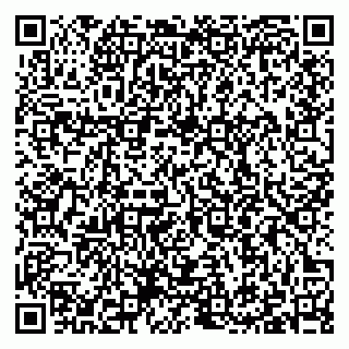 vCard 79397100381