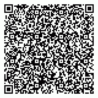 vCard 79397100382