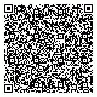 vCard 79397100384