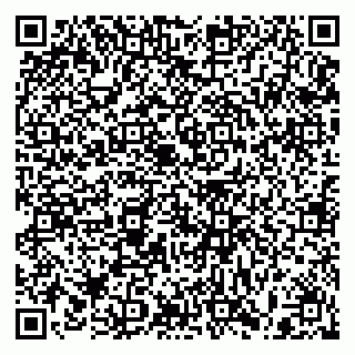 vCard 79397100387