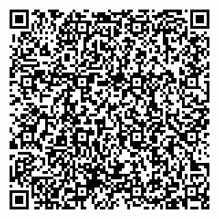 vCard 79397100389