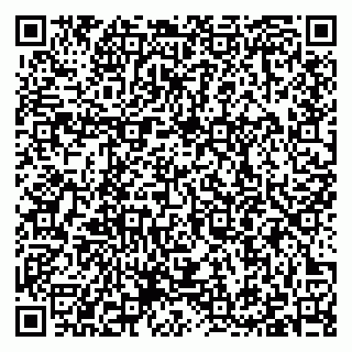 vCard 79397100399