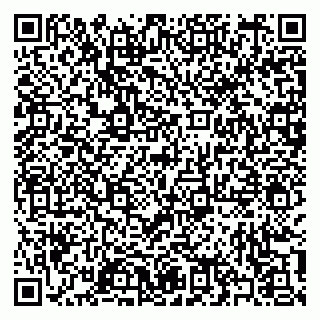 vCard 79397100419