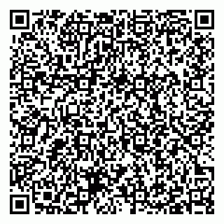 vCard 79397100500