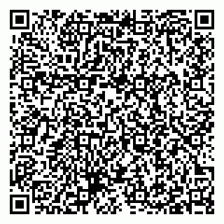 vCard 79397100509