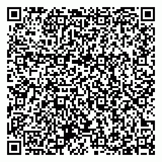 vCard 79397100531