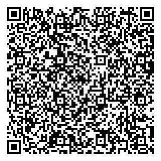vCard 79397100533