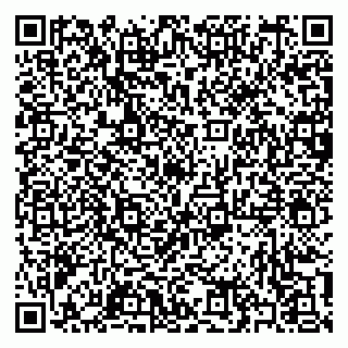 vCard 79397100535