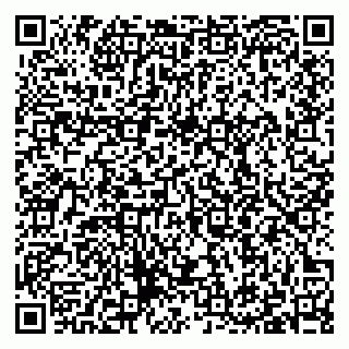 vCard 79397100541