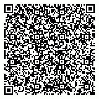 vCard 79397100581