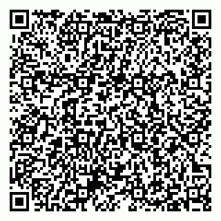 vCard 79397100617