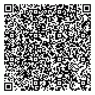 vCard 79397100629