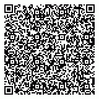 vCard 79397100631