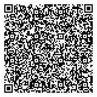 vCard 79397100733