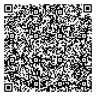 vCard 79397100735