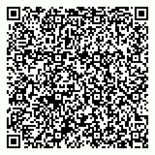 vCard 79397100739