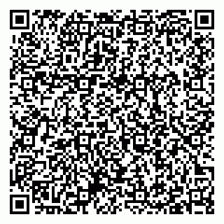 vCard 79397100803