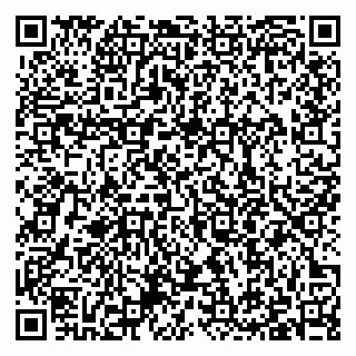 vCard 79397100811
