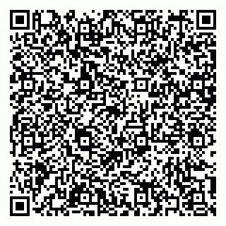 vCard 79397100813