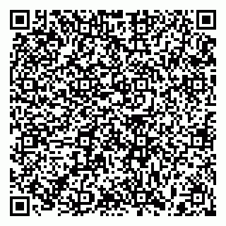 vCard 79397100817