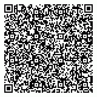 vCard 79397100821