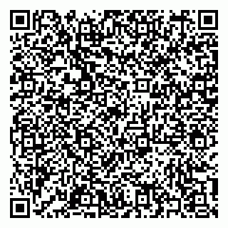 vCard 79397100849