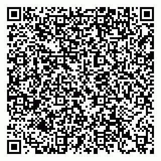 vCard 79397100873