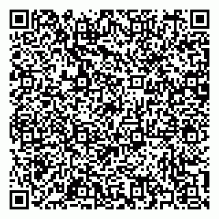 vCard 79397100874